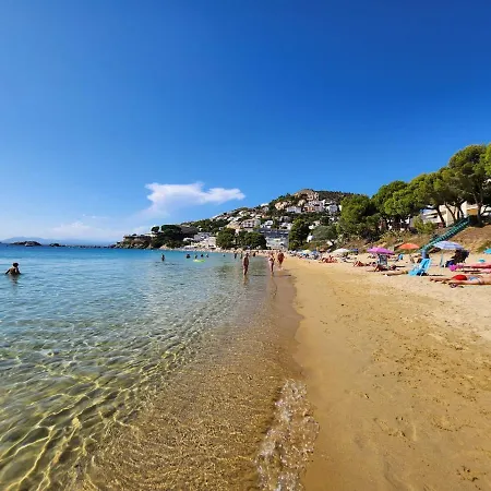 Mediterranean *